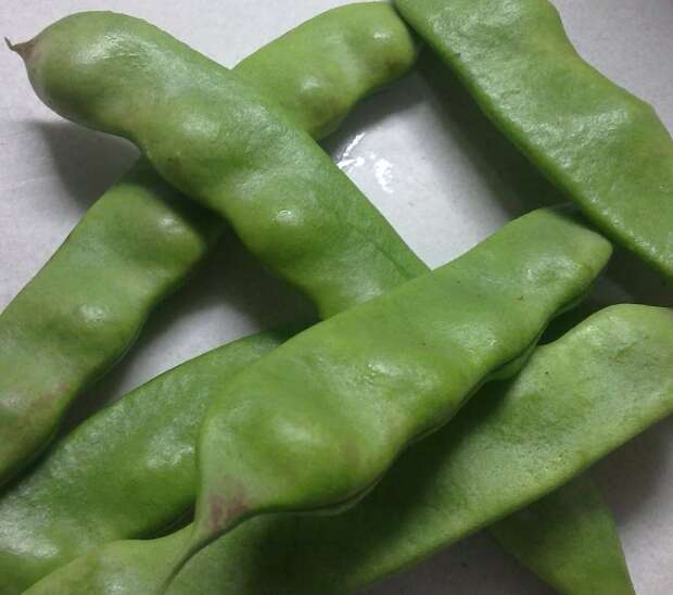 大油豆500g