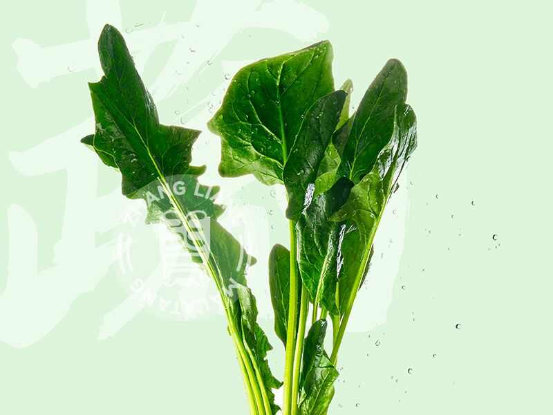 菠菜