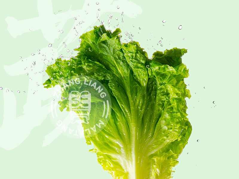 生菜