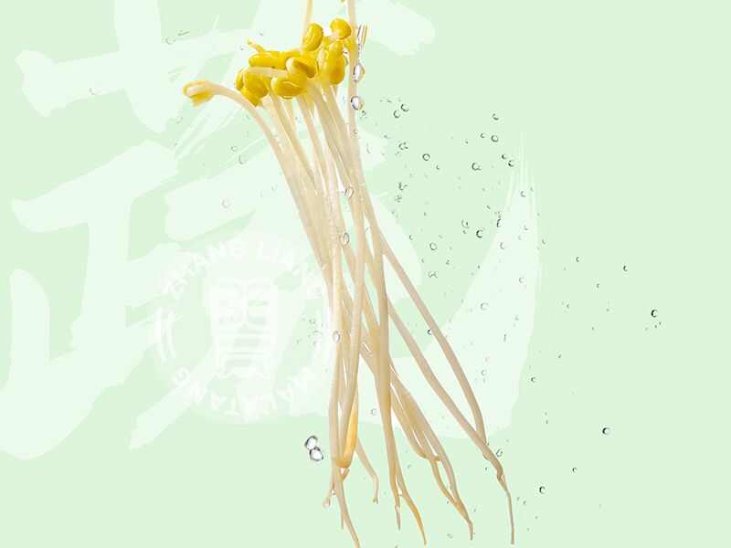 黄豆芽