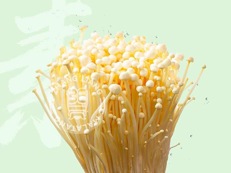 金针菇