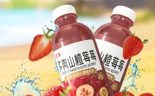 多肉山楂莓莓