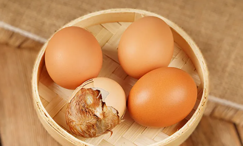 活珠子